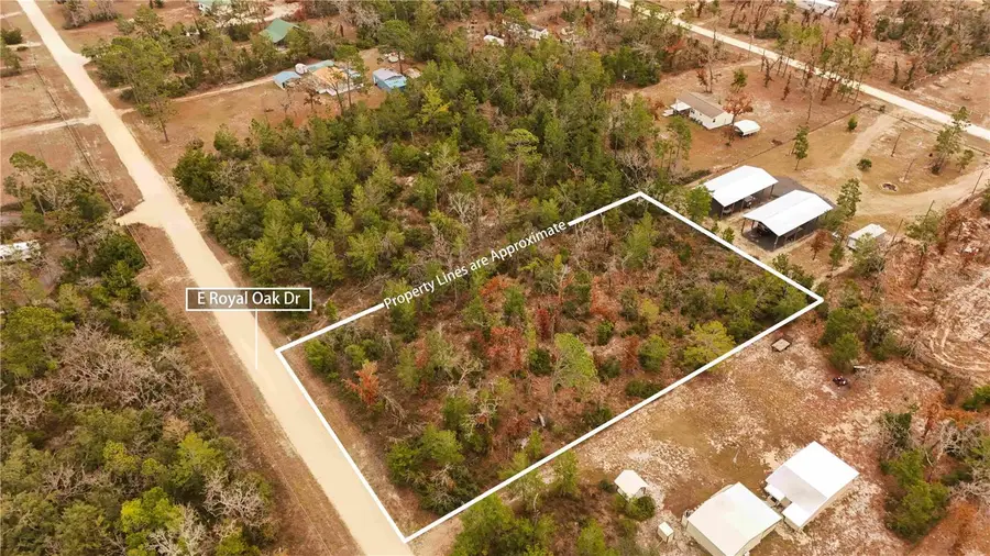 TBD  0000 E Royal Oak Dr, Perry, FL 32348 - Image #2