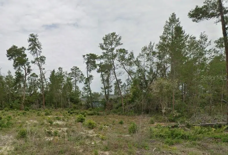 TBD Sw 30th Ave Rd, Ocala, FL 34473 - #1