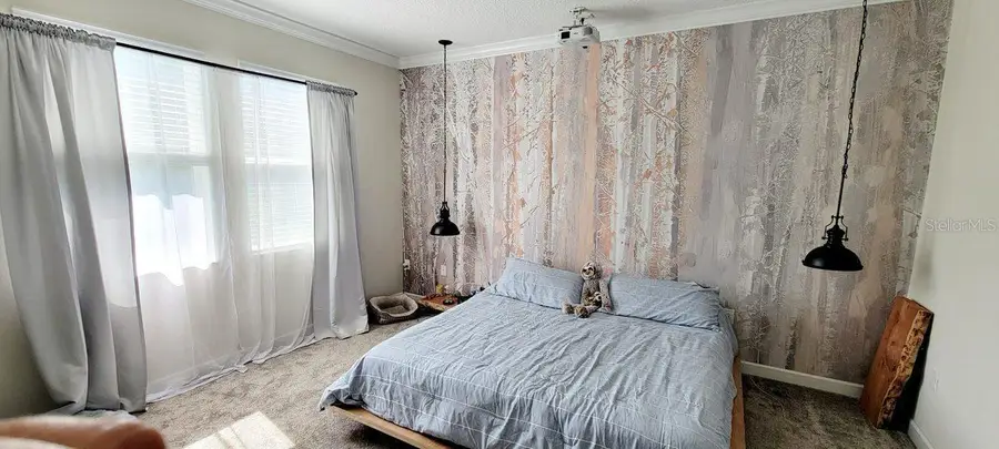 1211 Dora Parc Lane, Mount Dora, FL 32757 - Image #3