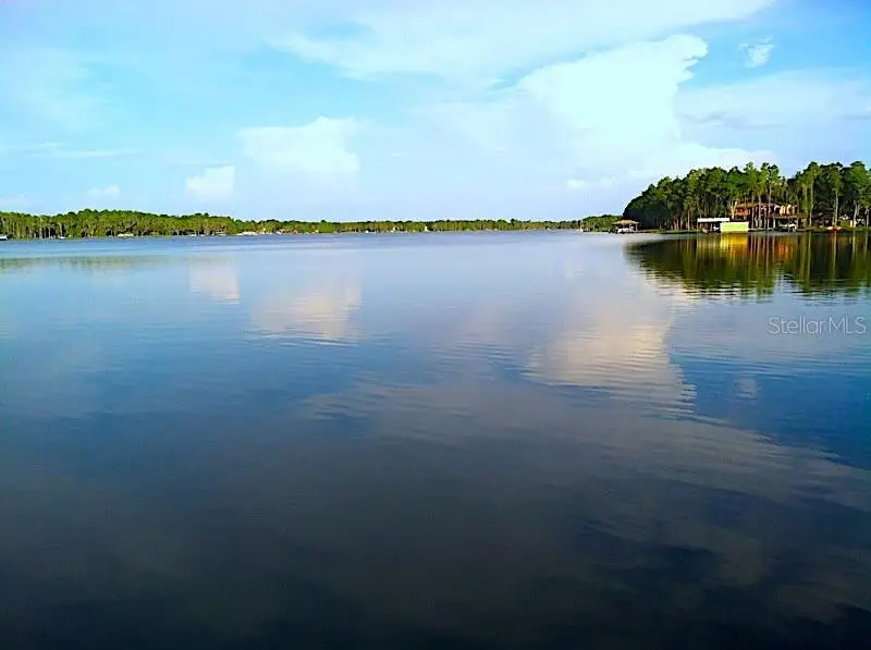 18620 Wayne Road, Odessa, FL 33556 - #1