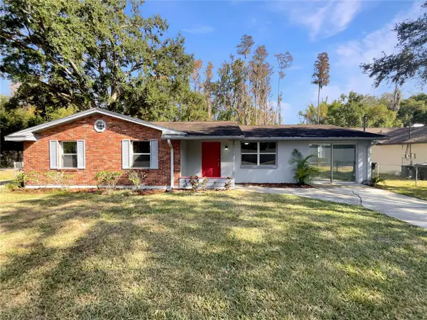 16423 Lake Byrd Drive, TAMPA, FL 33618