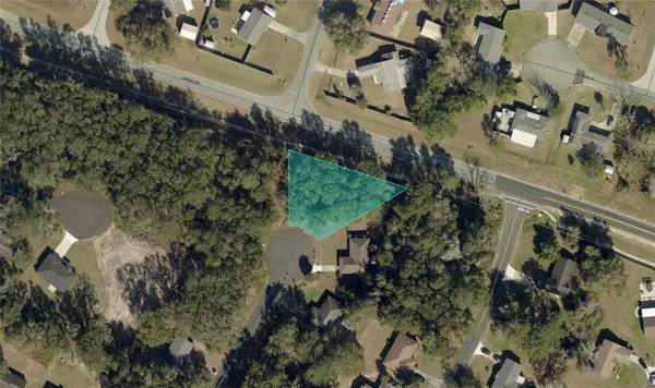 Spring Loop Drive, OCALA, FL 34472