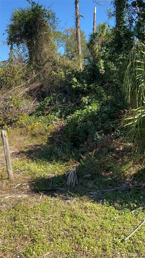 Easter Terrace, NORTH PORT, FL 34286