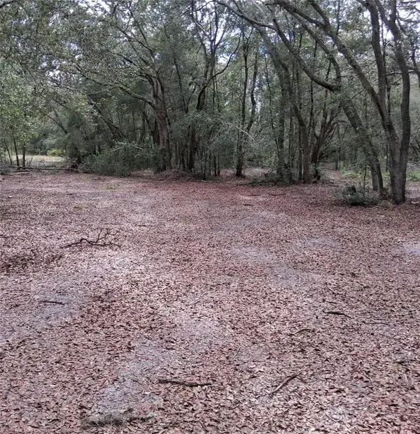 33174 Tombstone Street, WEBSTER, FL 33597