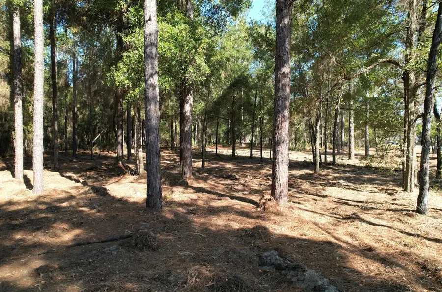 SW 18th Place, Ocala, FL 34481 - Image #3