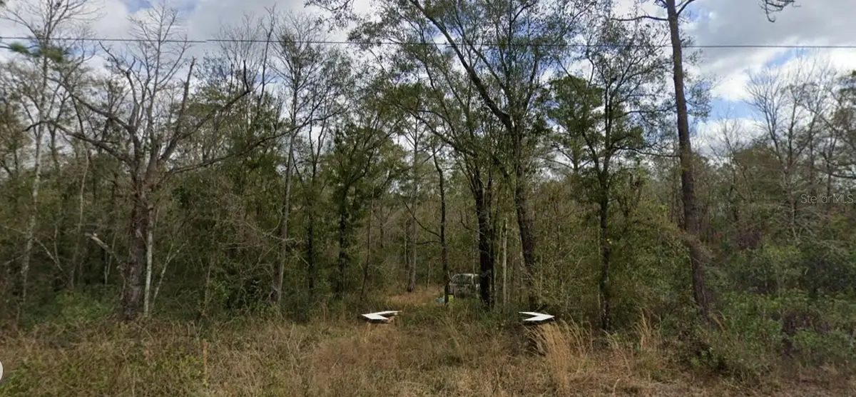 10230 Nikolich Avenue, Hastings, FL 32145 - Image #1