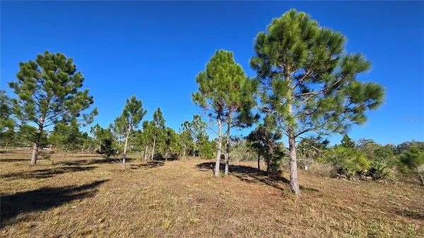 17718 NW 266th Street, OKEECHOBEE, FL 34972