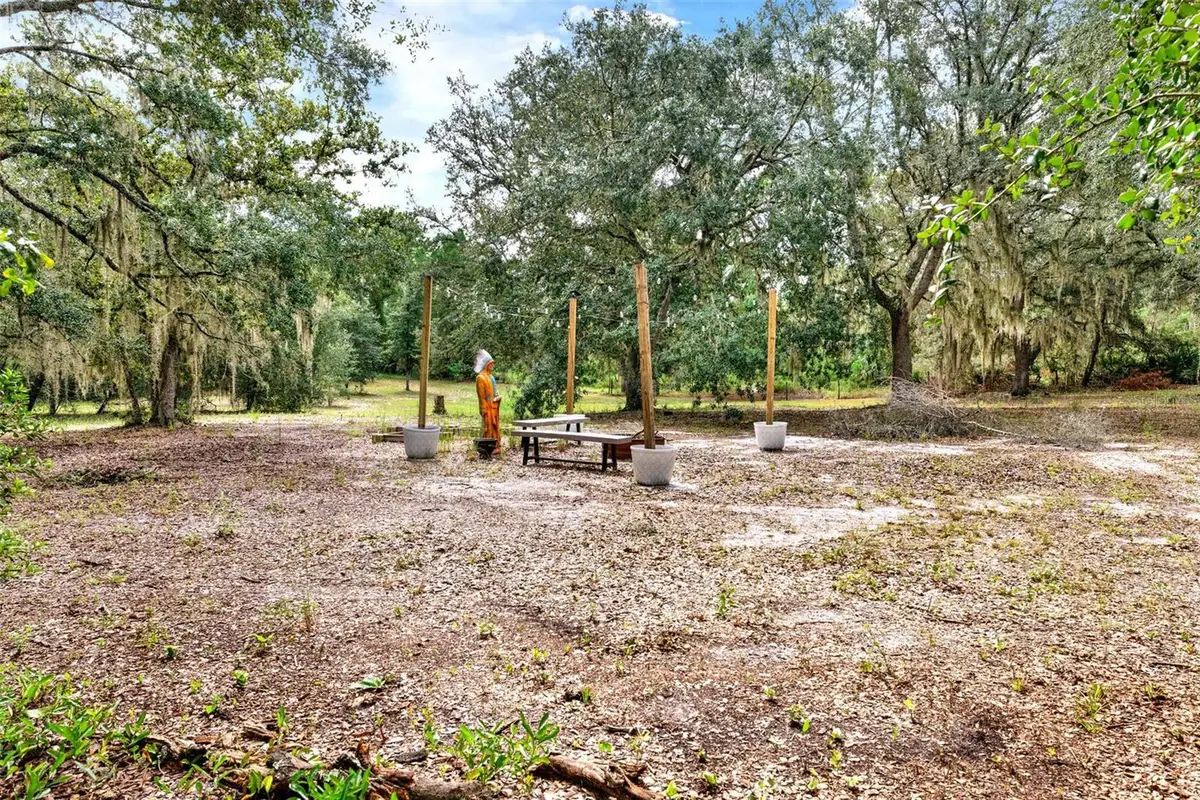 Blackwater Oaks Drive, Eustis, FL 32736 - Image #1