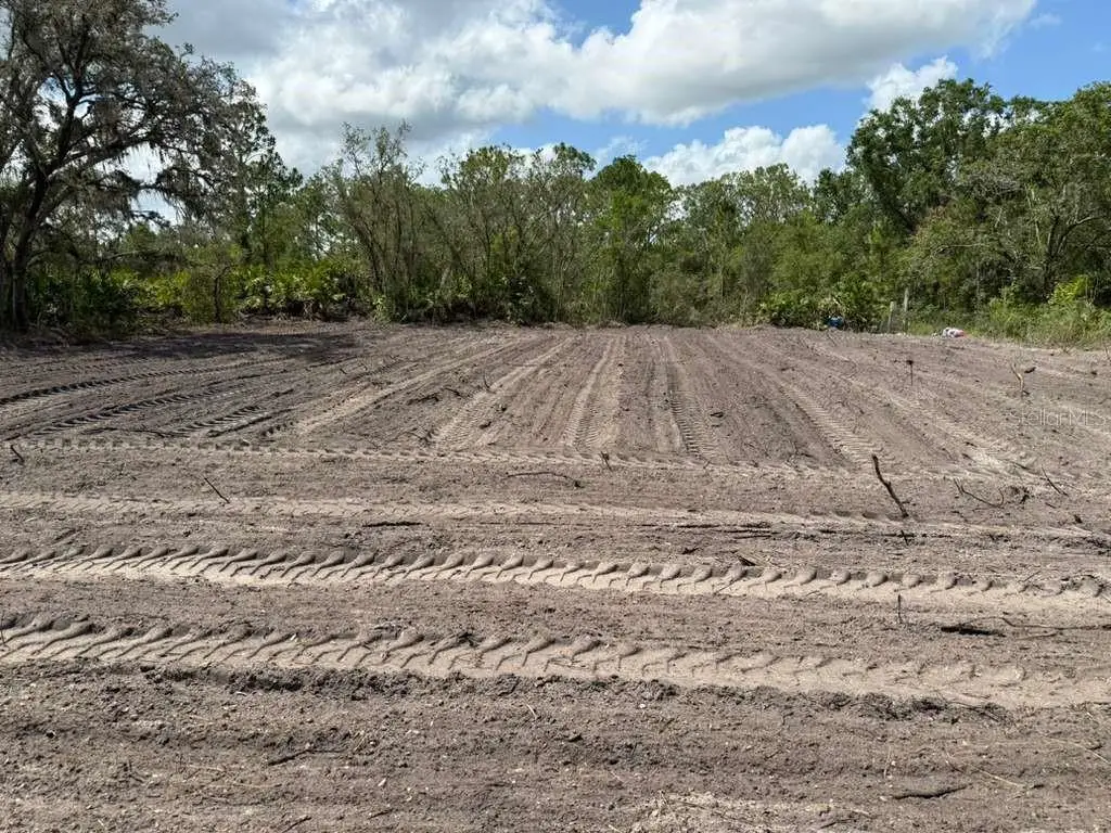 3025 W Metuchen Road, Avon Park, FL 33825 - Image #1