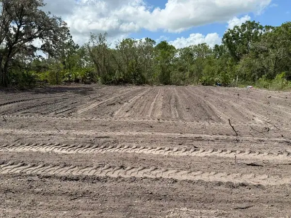 3025 W Metuchen Road, AVON PARK, FL 33825