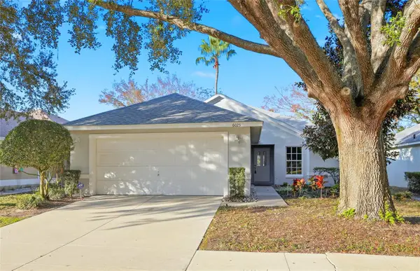 6025 Spring Creek Court, MOUNT DORA, FL 32757