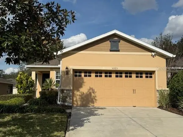 30725 Lipizzan Terrace, MOUNT DORA, FL 32757