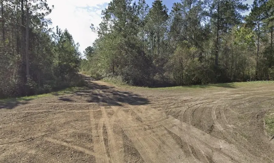 Beckenger Avenue, Hastings, FL 32145 - Image #2