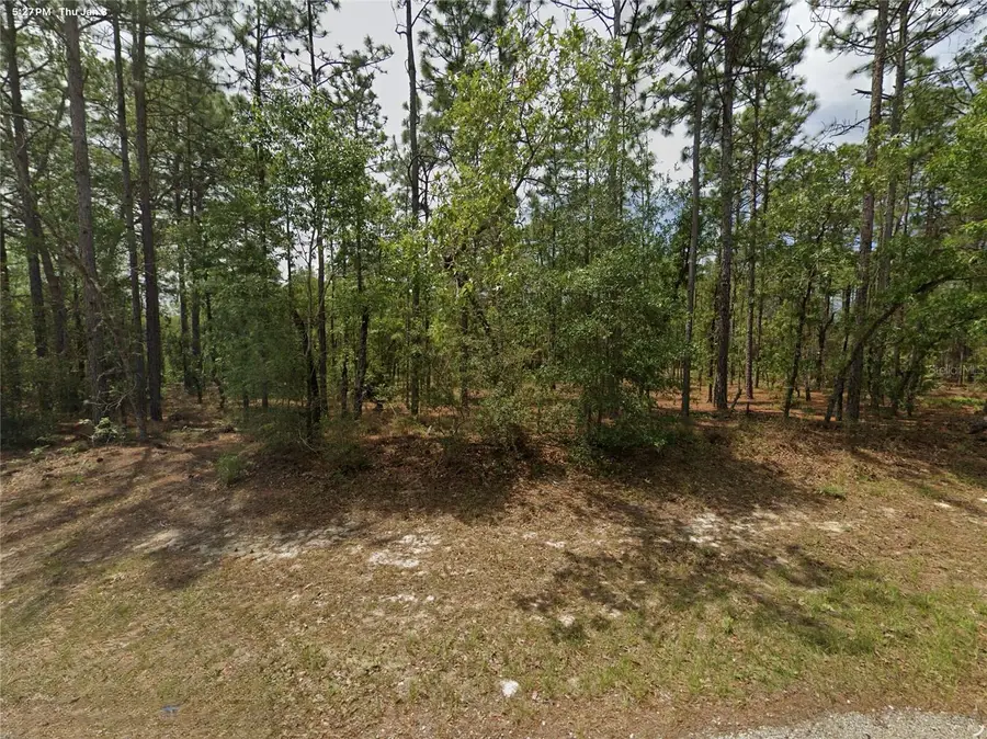 1022 W Cary Drive, Citrus Springs, FL 34434 - Image #2