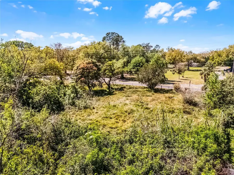 1351 Avalon Road, Winter Garden, FL 34787 - Image #2