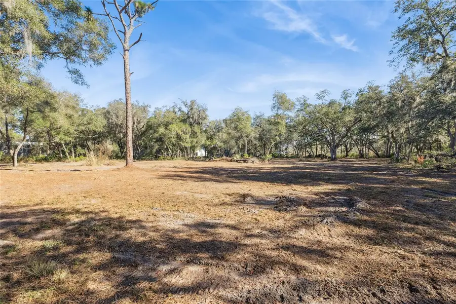 1001 Lake Harney Road, Geneva, FL 32732 - #3