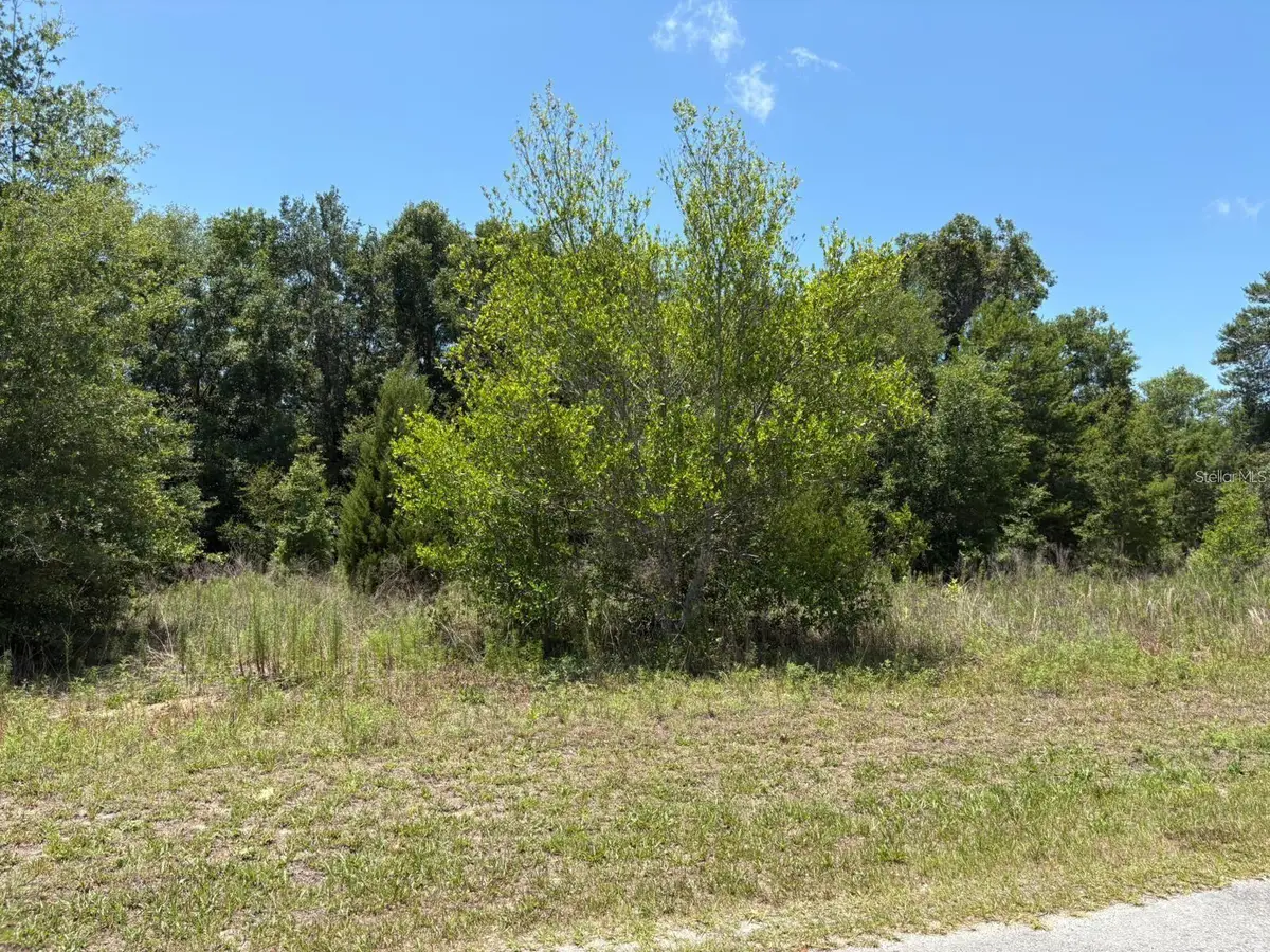 6642 N Flower Terrace, Hernando, FL 34442 - #1