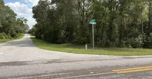 6658 N Flower Terrace, Hernando, FL 34442 - #1