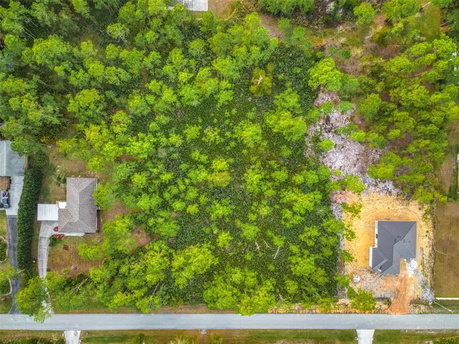 5817 Wolf Lake Road, Sebring, FL 33875 - Image #3