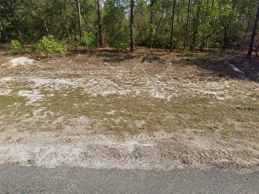 3957 W Firewood Loop, Citrus Springs, FL 34433 - Image #2