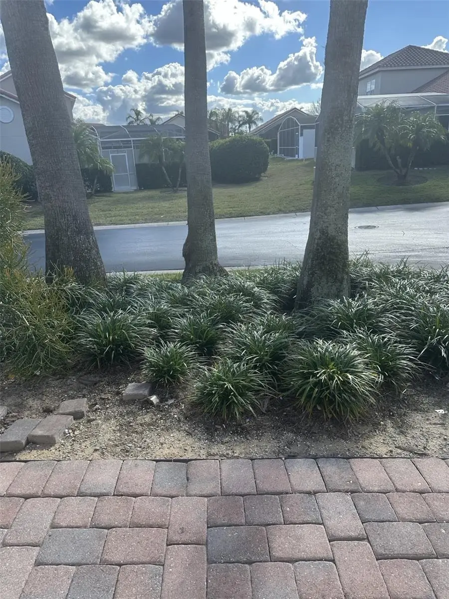 609 Brunello Drive, Davenport, FL 33897 - Image #3