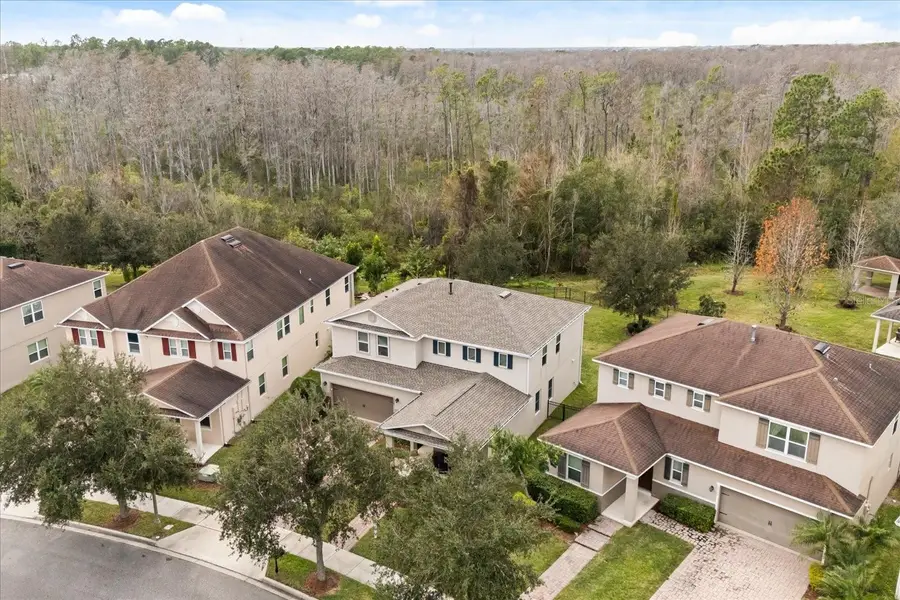 6638 Bridgewater Village Road, Windermere, FL 34786 - Image #3