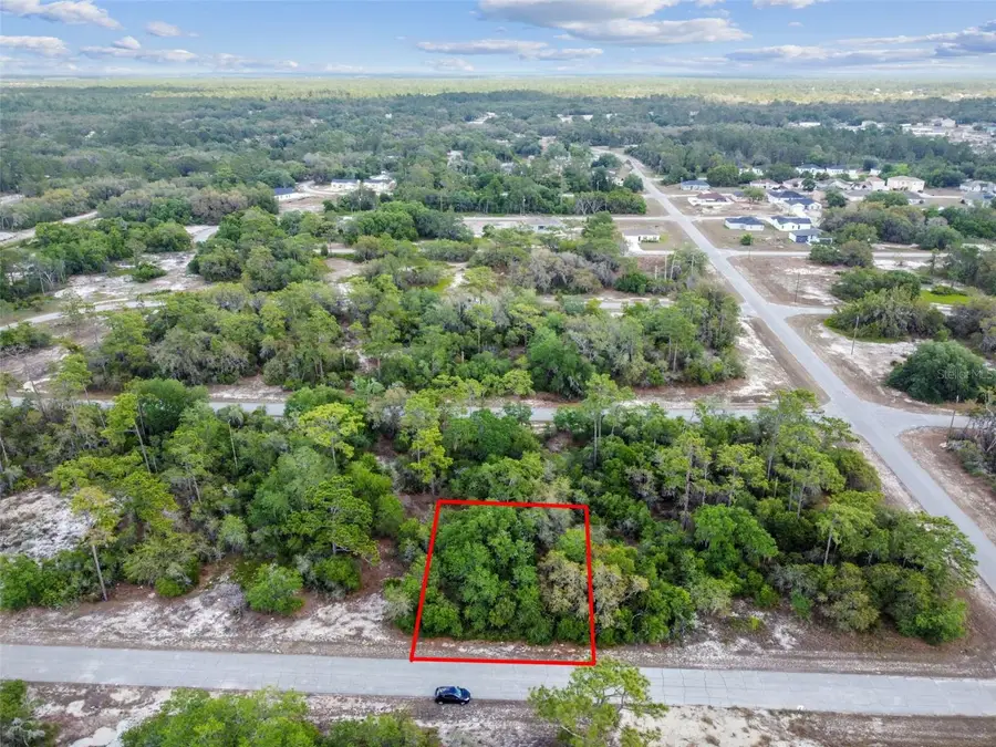 1305 Homosassa Court, Poinciana, FL 34759 - Image #3