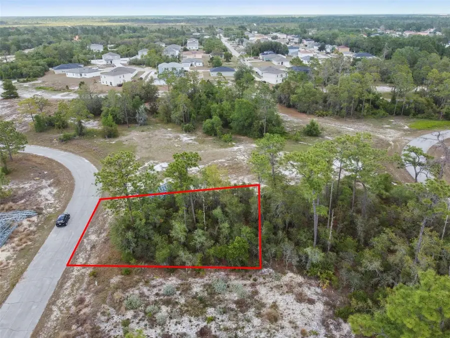 1315 Homosassa Court, Poinciana, FL 34759 - Image #3