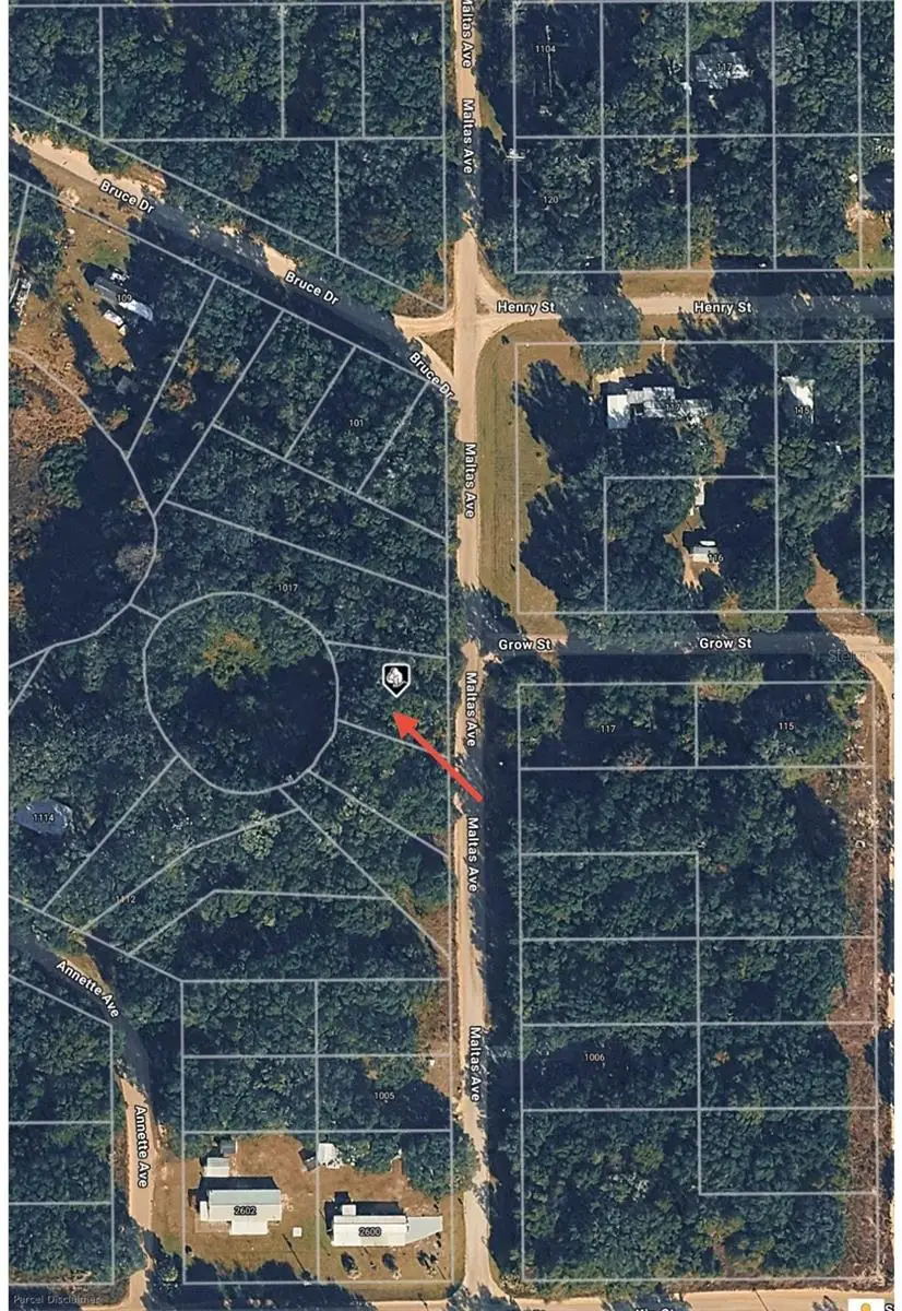 TBD Maltas Avenue, Interlachen, FL 32148 - Image #3