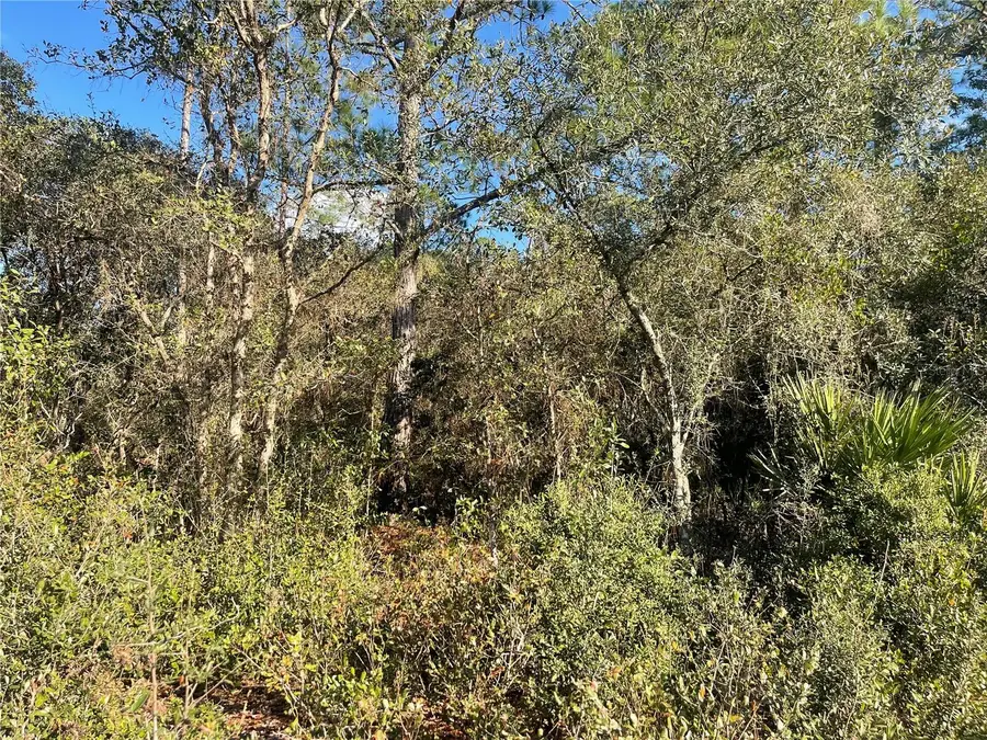 Rose Bud Drive, Deland, FL 32720 - Image #3