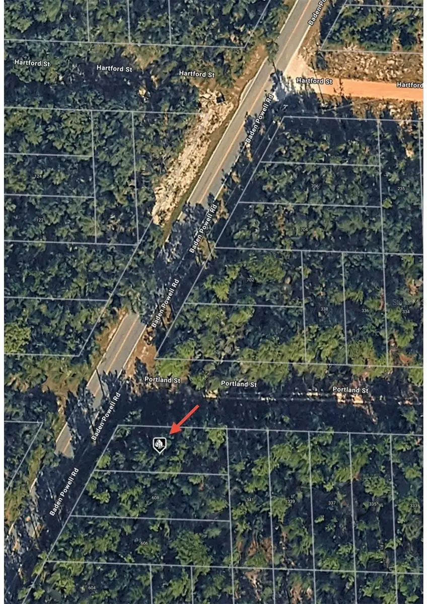 Baden Powell Road, Hawthorne, FL 32640 - Image #2