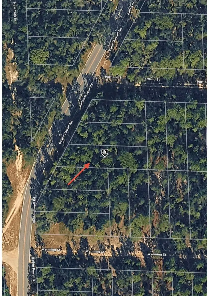 606 Baden Powell Road, Hawthorne, FL 32640 - Image #3