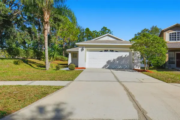 12606 Adventure Drive, RIVERVIEW, FL 33579