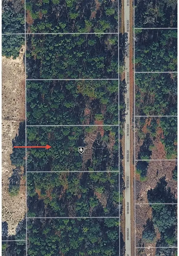 TBD Se 130th Court, DUNNELLON, FL 34431
