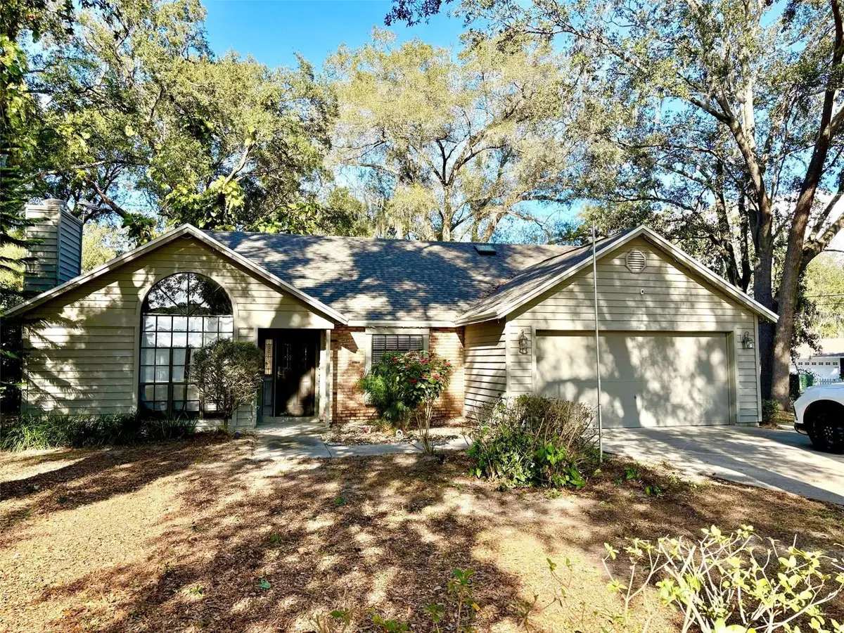 3909 Lake Forest Street, Mount Dora, FL 32757 - #1