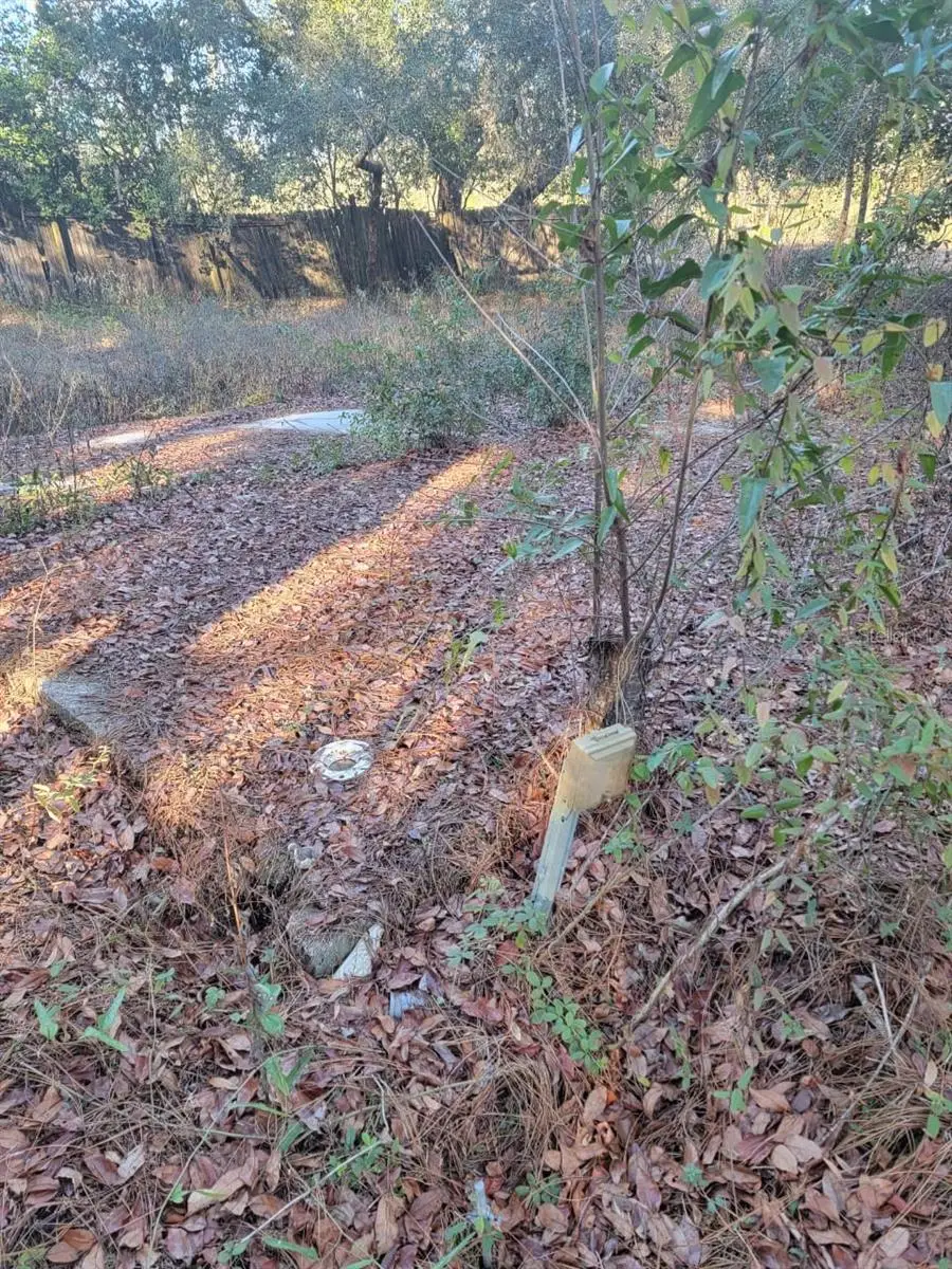 107 Lakeview Way, Interlachen, FL 32148 - Image #2