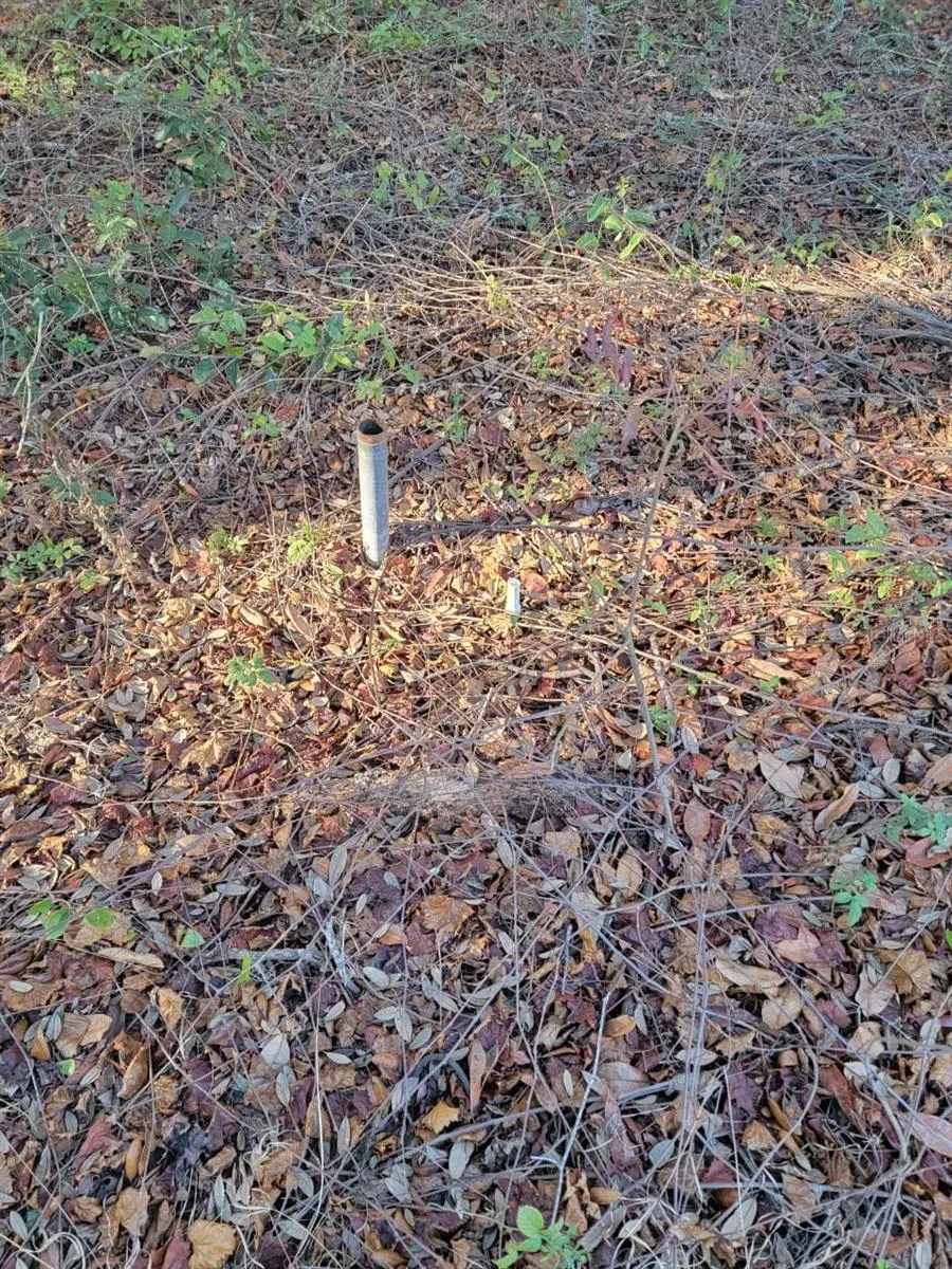 107 Lakeview Way, Interlachen, FL 32148 - Image #3