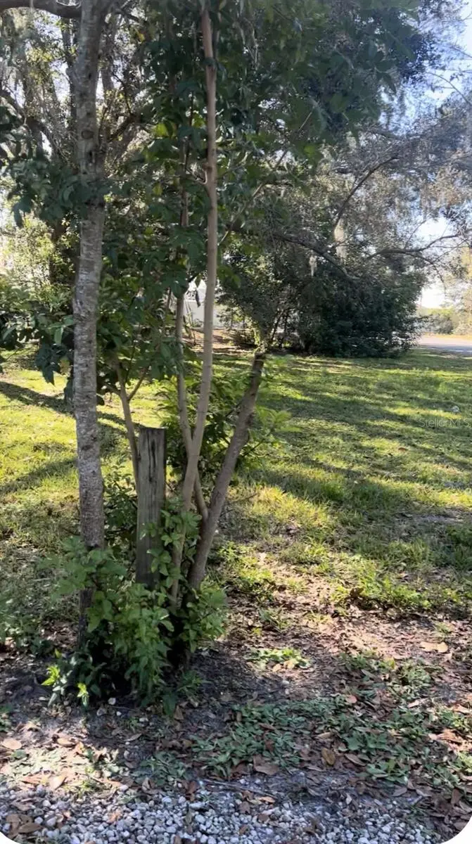 337 Waterview Drive, Polk City, FL 33868 - Image #3