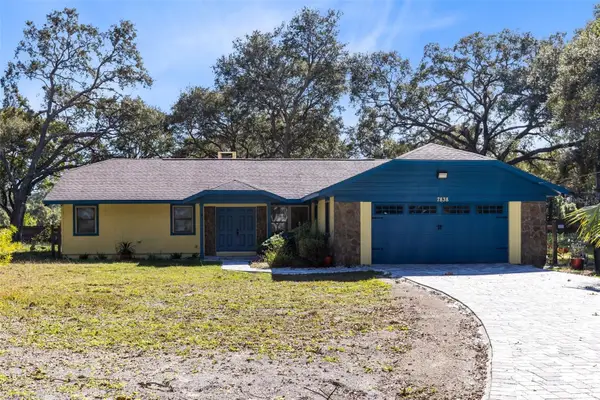 7838 Sloewood Drive, MOUNT DORA, FL 32757