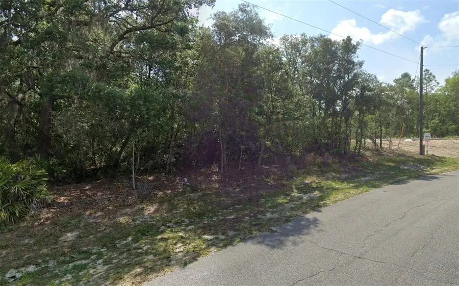 Sw 79th Ave Rd, Ocala, FL 34473 - Image #3