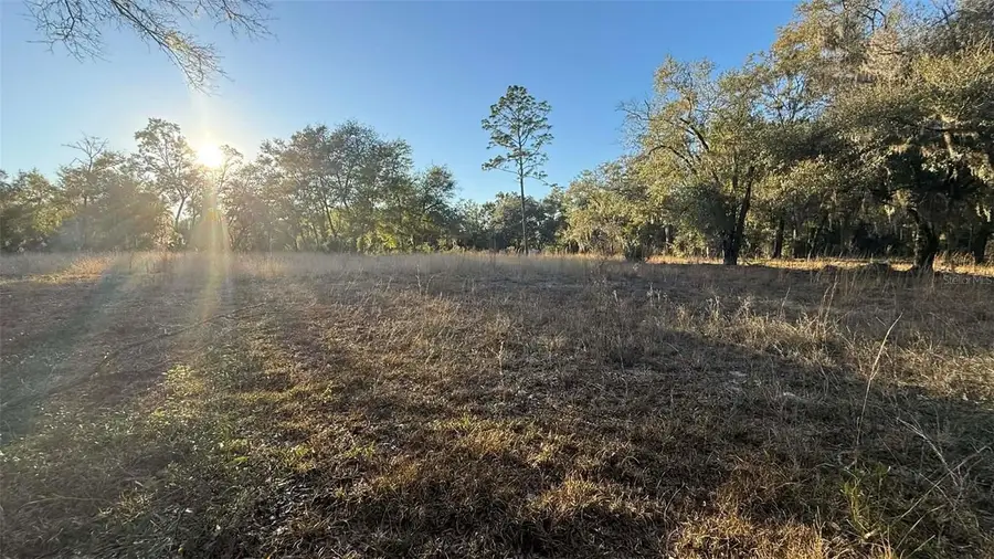 NE 40th Street, Williston, FL 32696 - Image #2