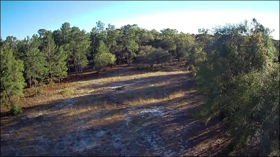 NE 40th Street, Williston, FL 32696 - Image #3