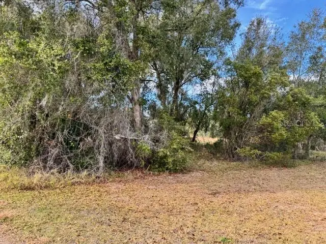 195 Lake Molly Avenue, Deland, FL 32724 - Image #3