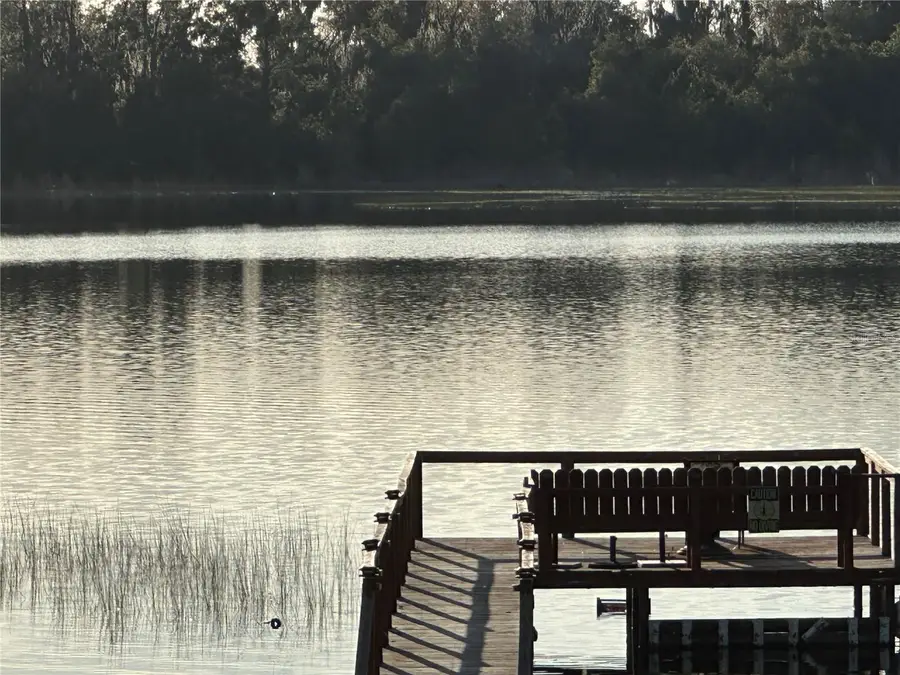 41515 Silver Drive, Umatilla, FL 32784 - Image #2