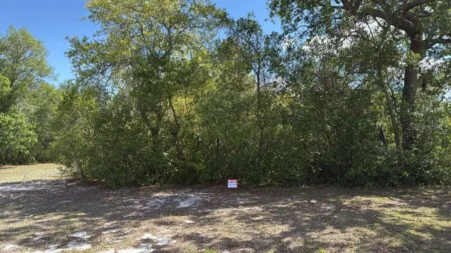 1105 Grapefruit Avenue, Sebring, FL 33870 - #2