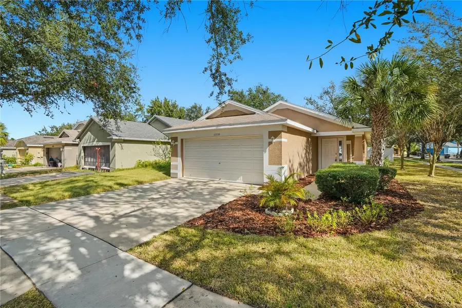 11719 Crest Creek Drive, Riverview, FL 33569 - Image #2