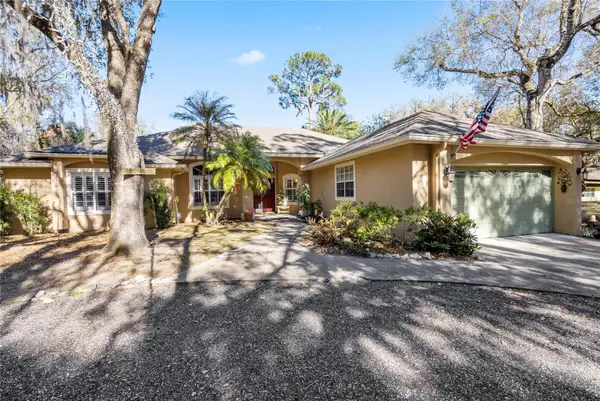 295 N Jungle Road, GENEVA, FL 32732