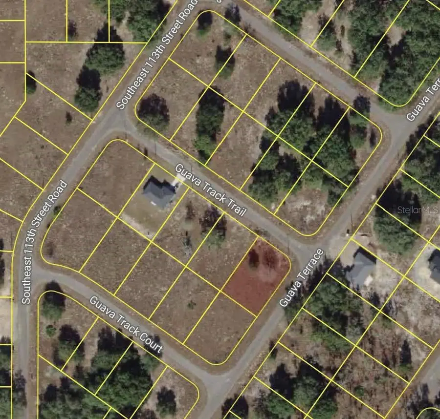 00 Guava Track Trail, Ocklawaha, FL 32179 - Image #3