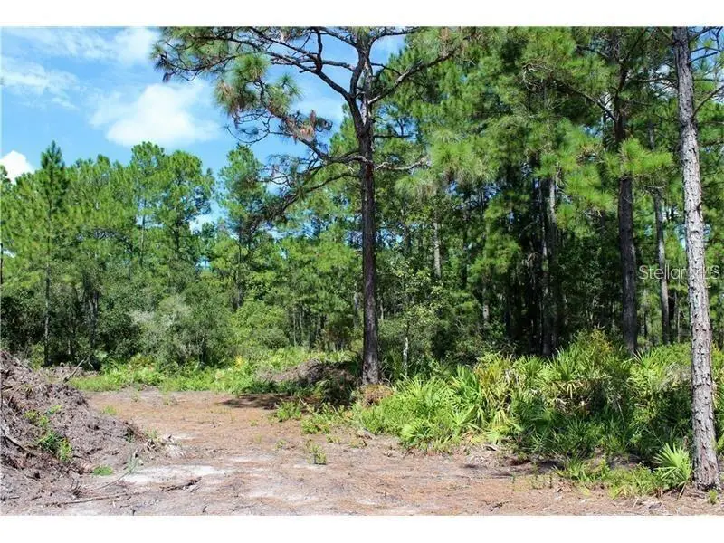 Apricot Avenue, Eustis, FL 32736 - #2