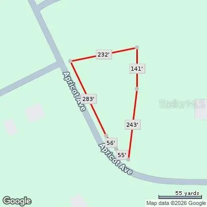 Apricot Avenue, Eustis, FL 32736 - #3